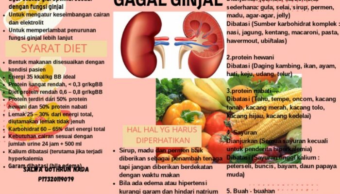 Lonjakan Gagal Ginjal di Sambas: 756 Warga Cuci Darah, 51 Meninggal Sepanjang 2025