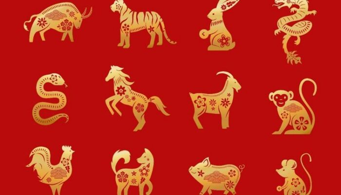 6 Shio Beruntung Tahun 2025, Rumah Baru Mungkin Terwujud