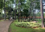 Balita Hilang Satu Jam Ditemukan Bersama Wanita Asing di Tebet Eco Park