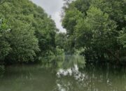 Komunitas BYD Tampilkan Tren Baru Kendaraan Listrik: Berkendara Bersih, Lindungi Lingkungan