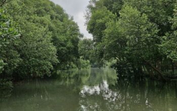 Komunitas BYD Tampilkan Tren Baru Kendaraan Listrik: Berkendara Bersih, Lindungi Lingkungan