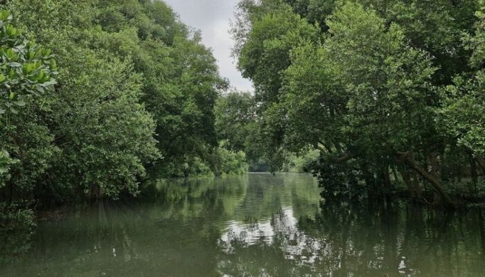 Komunitas BYD Tampilkan Tren Baru Kendaraan Listrik: Berkendara Bersih, Lindungi Lingkungan
