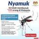 Kenali Tanda-Tandanya: Nyamuk Aedes Mengintai, Musim Hujan Jadi Ancaman