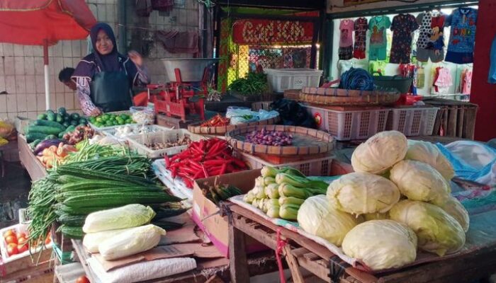 Usaha yang Langka tapi Menguntungkan ini Bisa Jadi Peluang Emas untuk Anda