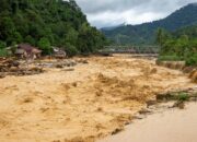 Kayu di Bencana Sumatra Jadi Perhatian Senayan