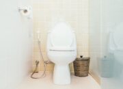 Manfaat Toilet Jongkok vs Duduk: Ini Bukti Ilmiahnya