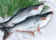 10 ikan bergizi untuk MPASI dan perkembangan otak anak