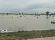 Ratusan hektare sawah terendam banjir, petani Jatitujuh terancam gagal tanam