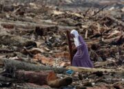 Ekonom: Bencana Sumatera Ancam Kemiskinan dan Pengangguran Baru