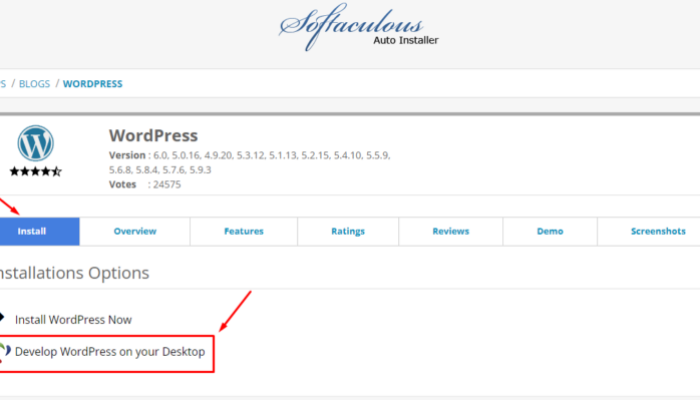 Cara Install WordPress di CPanel dengan Mudah dan Cepat