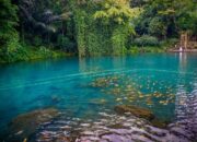 Kisah sukses Desa Gunungkuning, Situ Cipanten jadi sumber kekayaan miliaran rupiah