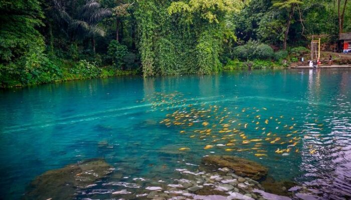 Kisah sukses Desa Gunungkuning, Situ Cipanten jadi sumber kekayaan miliaran rupiah