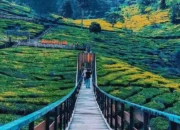 Jawa Barat, Destinasi Wisata yang Menakjubkan dan Penuh Budaya