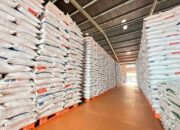 Stok Beras Habis, Ribuan Bayi di Pengungsian Terancam Kelaparan