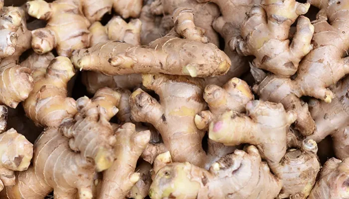 10 Manfaat Jahe untuk Kesehatan Wanita: Dari Nyeri Haid hingga Kulit Cantik