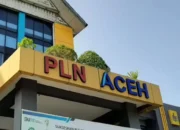 Direksi dan Relawan PLN Turun, Percepat Pemulihan Fasilitas Umum Aceh