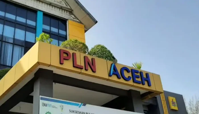 Direksi dan Relawan PLN Turun, Percepat Pemulihan Fasilitas Umum Aceh