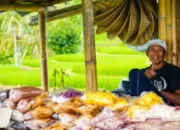 usaha yang cocok untuk pemula di pedesaan ini bisa jadi pilihan menguntungkan