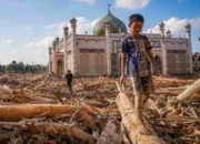 Petani sawit dengan HGU diminta siapkan lahan untuk pengungsi Aceh Tamiang