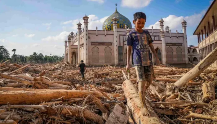 Petani sawit dengan HGU diminta siapkan lahan untuk pengungsi Aceh Tamiang