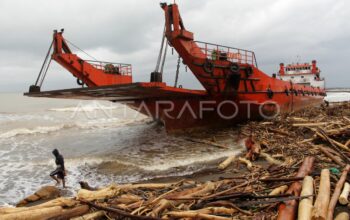 Sebelum banjir bandang, kapal tongkang kayu Mentawai terdampar di Lampung