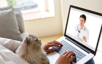 Lowongan Kerja Remote Terbaru 2026: Kesempatan Kerja Jarak Jauh Tanpa Batas Lokasi