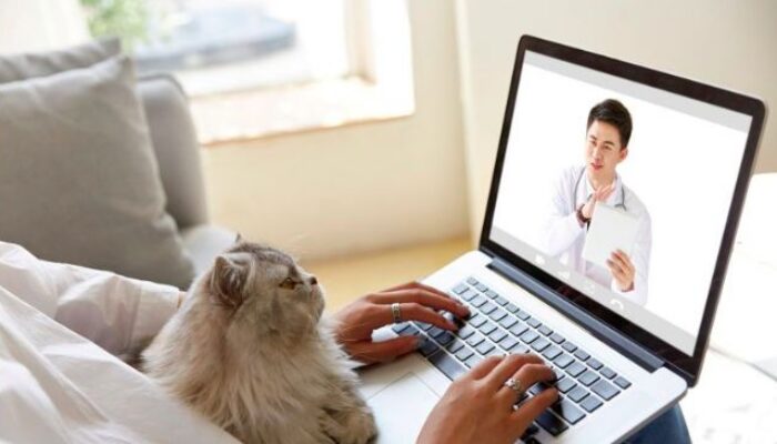 Lowongan Kerja Remote Terbaru 2026: Kesempatan Kerja Jarak Jauh Tanpa Batas Lokasi