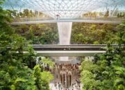 Cegah Virus Nipah, Singapura Pasang Alat Deteksi Suhu di Bandara