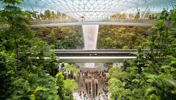 Cegah Virus Nipah, Singapura Pasang Alat Deteksi Suhu di Bandara