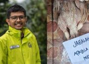 Profil Iqbal Damanik, Aktivis Greenpeace yang Diintimidasi dengan Mayat Ayam dan Surat Ancaman!