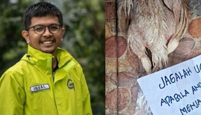 Profil Iqbal Damanik, Aktivis Greenpeace yang Diintimidasi dengan Mayat Ayam dan Surat Ancaman!