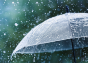 Hujan dan Angin Kencang Tumbangkan Pohon Albasia di Pamarican Ciamis