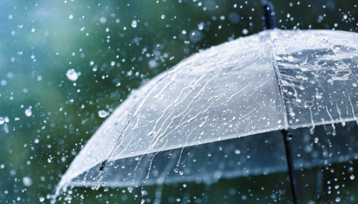 Hujan dan Angin Kencang Tumbangkan Pohon Albasia di Pamarican Ciamis