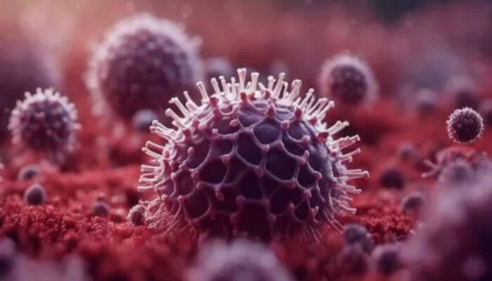 Pencegahan Virus Nipah: Pengawasan Ketat Jemaah Umrah dan Wisatawan Asing oleh BBKK Surabaya