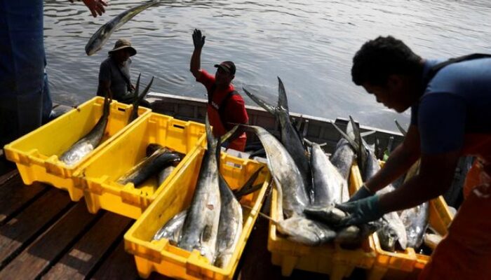 Ekspor Perikanan 2025 Tembus Rp105 Triliun, AS Jadi Pasar Utama